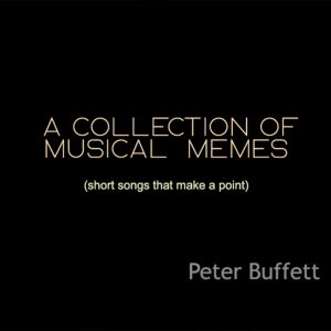 A Collection of musical memes by Peter Buffett Album Cover